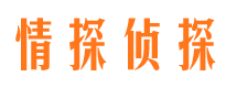 琅琊市婚外情调查